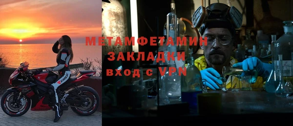 прущие грибы Богородск
