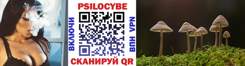 Псилоцибиновые грибы прущие грибы  Кондрово 